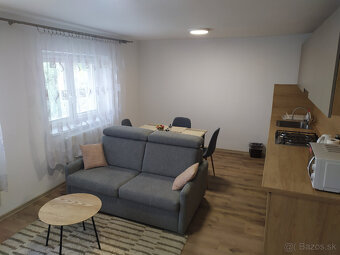 Trenčianske Teplice apartmány ubytovanie aj pre samoplatcov - 9