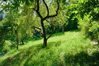 POZEMOK VO VÝBORNEJ LOKALITE - 9