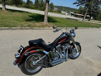Harley Davidson Fat Boy 1600 - 9
