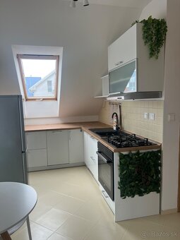 PETFRIENDLY 1-izbový byt so záhradkou (Biely Kostol) - 9