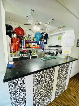 ZNIZENA CENA: Pivaren pod Lipou + byt - Hamuliakovo - 9