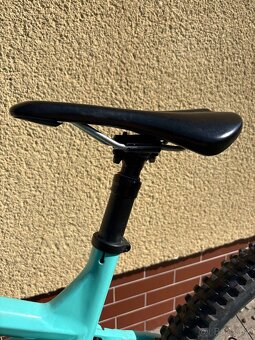 Trek remedy 8 2019 (custom) - 9