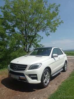ML350 - 9