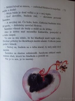 Hľadajte Šamiska (Anna Minichová) - 9