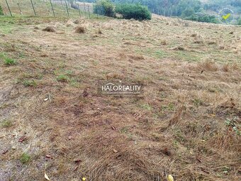 HALO reality - Predaj, pozemok pre rodinný dom 4217 m2 Gel - 9