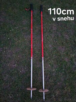 Lyže + Lyžiarske Palice - 9
