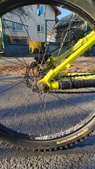 Kellys whip 10 2018 - 9