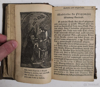 Stepná zahradka 1850 - 9