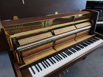 Petrof expotrný kus zo západnej Európy - 9