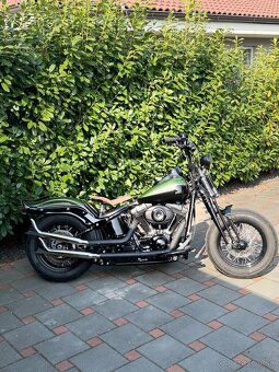 Harley Davidson Softail Cross Bones - 9