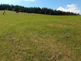 Orná pôda Lokca - 9