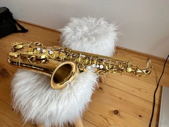 Saxofon Stewart Ellis Elite - 9