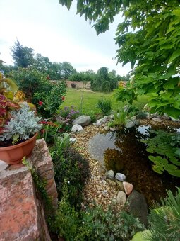 JEDINEČNÁ JAZDECKÁ FARMA V ÚPLNOM SÚKROMÍ - 9