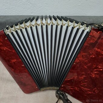 Harmonika Delicia Junior XIII 72 basová - 9