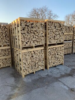 PALIVOVÉ DREVO - BUK - 9