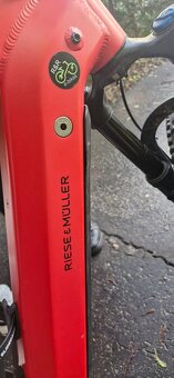 Riese & Müller Delite Rohloff 2020 elektrobicikel - 9