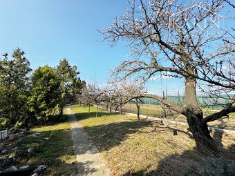 Záhradka s kúrením, elektrinou a studňou, Holíč - Kamenica - 9