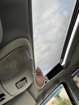 Mercedes ML 270CDI 4x4 - 9