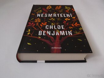 Chloe Benjamin-Nesmrteľní - 9