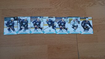 Hokejové kartičky Tipos extraliga 2020/21 - 9