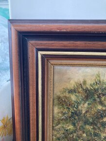 Staré obrazy - 9