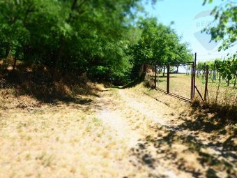 NA PREDAJ: Pozemok (rekreačný) 1000m2, možnosť výstavby chat - 9