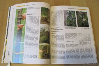 Řez, tvarování a roubování ovocných stromu - 9