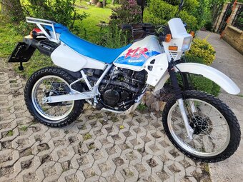 Kawasaki KLR 250 1991 doklady - 9