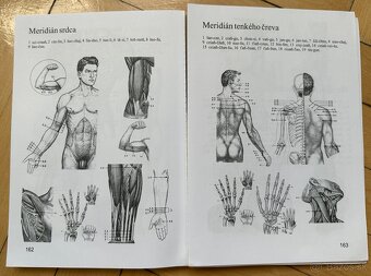 KNIHA Akupunktúra Alexander Alexejčuk za 5EUR - 9