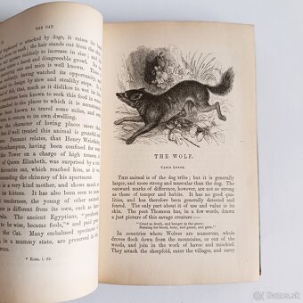 Starožitná knižka – Zoológia – Murray – 1844 - 9