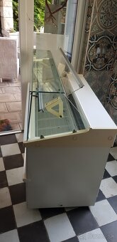 Zmrzlinova vitrina a cukrarska vitrina - 9