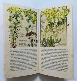 LIEČIVÉ BYLINKY + PRÍRODNÁ LIEČBA - 9