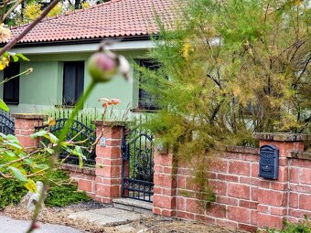 rodinný dom / vila MASLOVCE ( ČENKOVCE / OĽDZA ) 20 á pozemo - 9