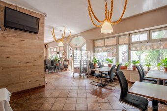 VAZOVOVA - OBCHODNÝ PRIESTOR VHODNÝ AKO GASTRO PREVÁDZKA SO - 9