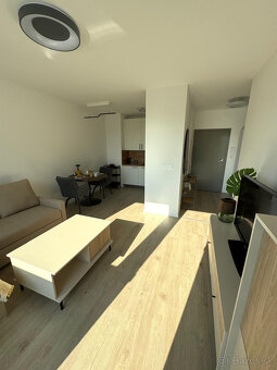 Prenajmem 2izb. slnečný byt – Ovocné sady - Bratislava - 9