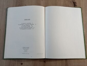 O psíkovi a mačičke - 9