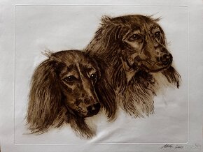 Ales Vaic - lesnicka tematiky - 9