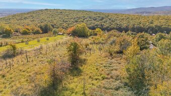 Rekreačný pozemok so zrubom v Modre – viac ako 4 100m2 - 9