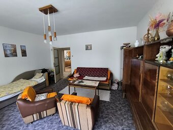 Na predaj RD s obrovským pozemkom v obci Dedinka (okres NZ) - 9