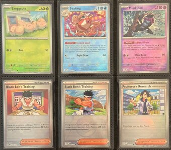 Pokemon TCG kusove karty - Ex-V-Pokeball-Promo - 9