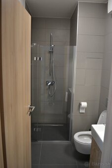 Prenájom 1,5 izbový byt BORY - 9
