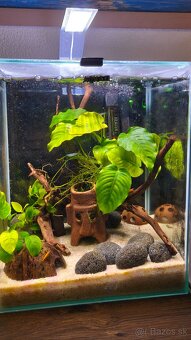 Akváriový set AQUAEL SHRIMP Day & Night 30 čierne (30 l) - 9