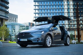 Tesla Model X 100D 2018 - 9