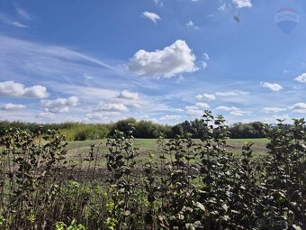 100-ročný dom na polosamote, pozemok 3252 m², Čab – Lahne - 9