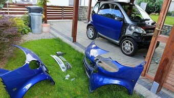 Smart 450 0.8 cdi - 9