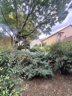 Starší rodinný dom s veľkým pozemkom na výnimočnom mieste v - 9