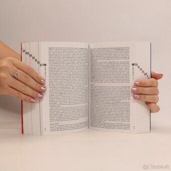 Japonsko - český turistický sprievodca Rough Guides - 9