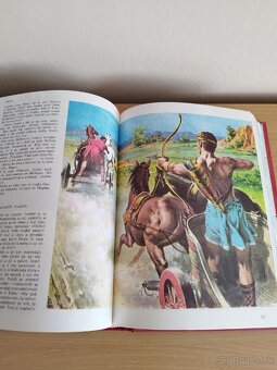 Ilustrovana Biblia. - 9