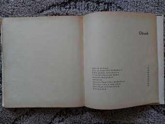 Ostrov kapitána Hašašara - Jaroslava Blažková - 9