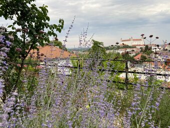 Prenájom, Bratislava-Staré mesto , dvojizbový byt s krásnym - 9